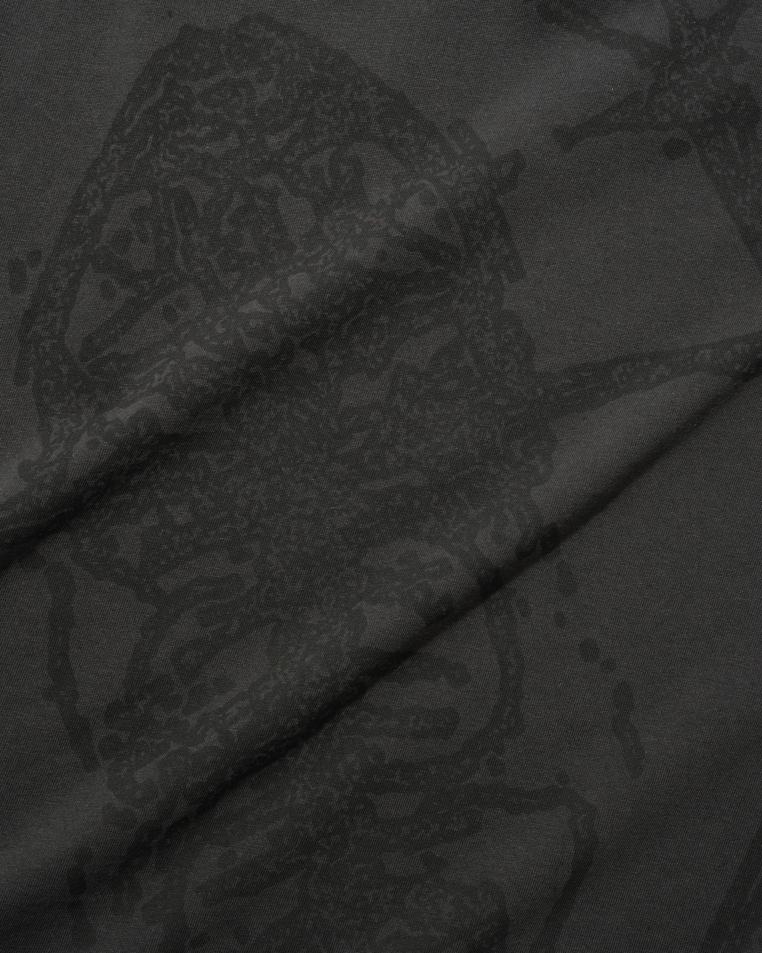 Amphibian Tee, Washed Black