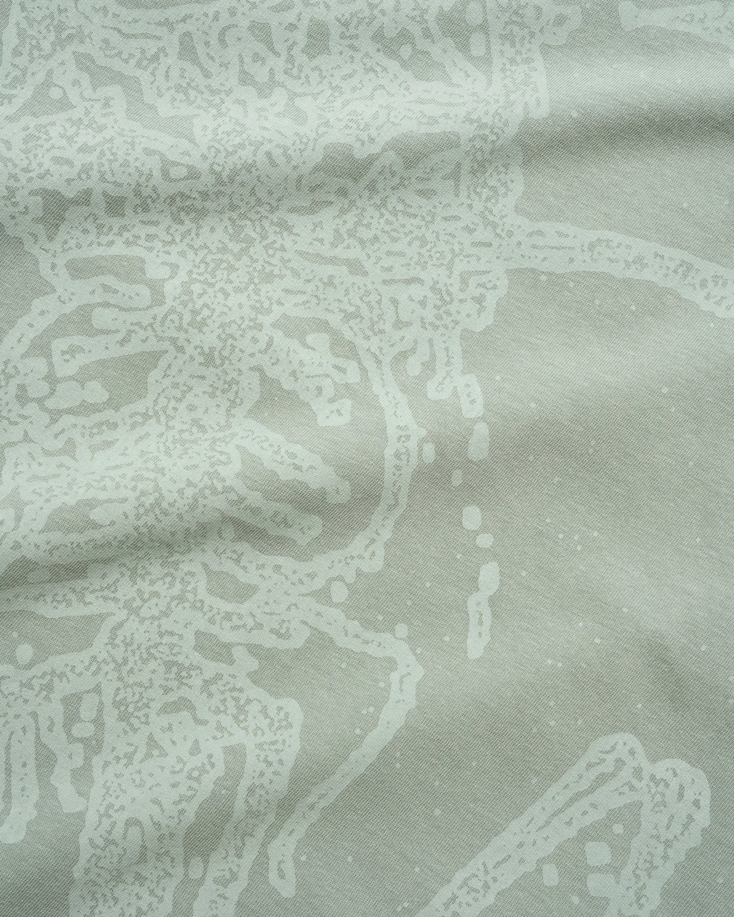 Amphibian Tee, Washed Dull Mint