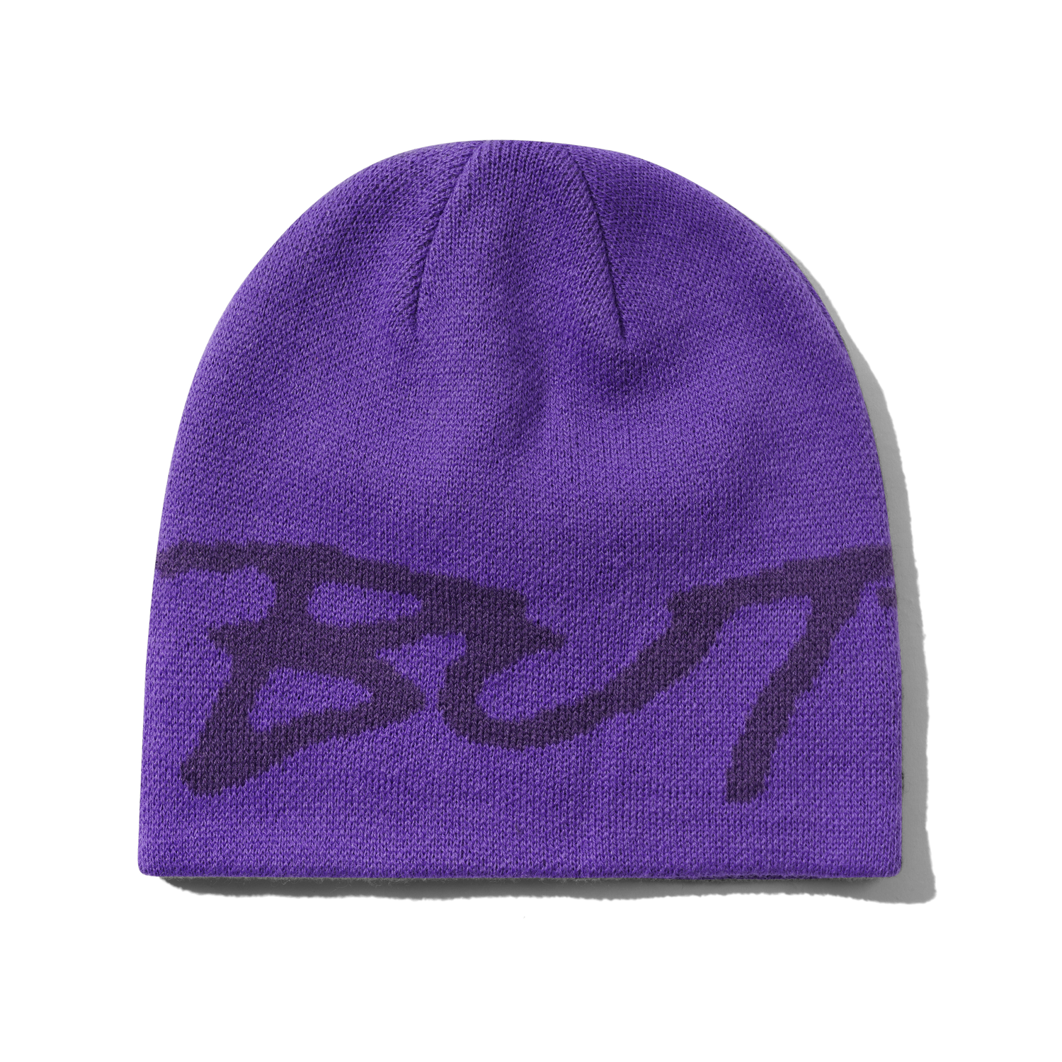 Terrain Skully Beanie, Purple